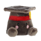 Gorra de posgrado académico